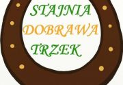 Dobra Stajnia - Jazda konna